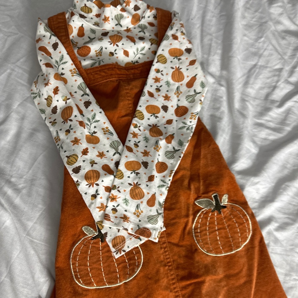 Fall turtle neck  dress